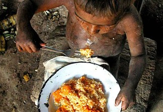 A luta diária contra a fome na Amazônia: como a insegurança alimentar afeta a região - Diário Carioca