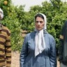 Lemon Tree conta a história real de uma viúva palestina que passa a ser vizinha do ministro da Defesa de Israel - Foto: Divulgação