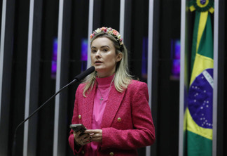Deputada federal Júlia Zanatta (PL-SC) durante discurso no plenário da Câmara dos Deputados. Foto: Reprodução