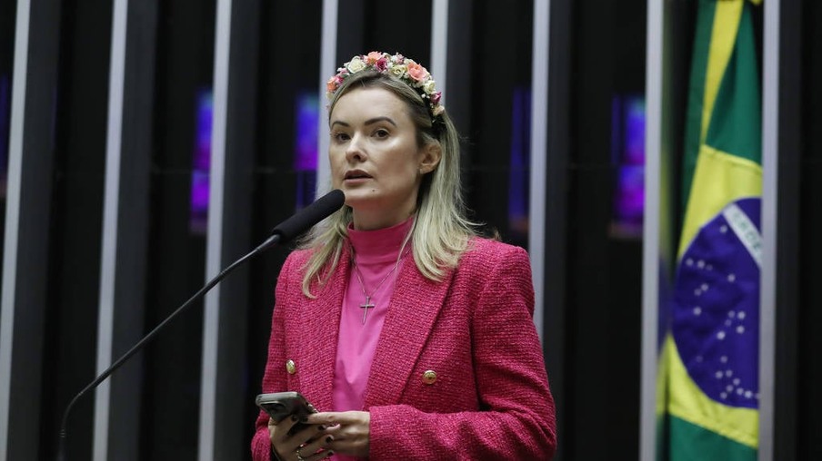 Deputada federal Júlia Zanatta (PL-SC) durante discurso no plenário da Câmara dos Deputados. Foto: Reprodução