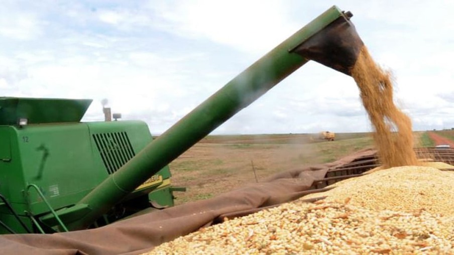 Preço da soja inicia a segunda-feira (11) em alta no Paraná