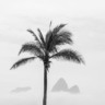 Rio de Janeiro - Foto: Reprodução COR