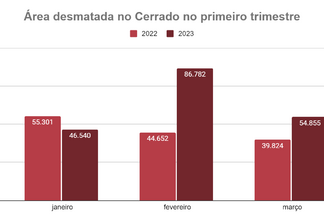 Desmatamento do Cerrado sobe 35% no primeiro trimestre
