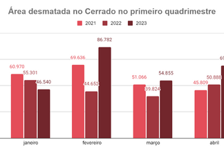 Desmatamento faz Cerrado perder duas vezes a área da cidade do Rio de Janeiro no início de 2023