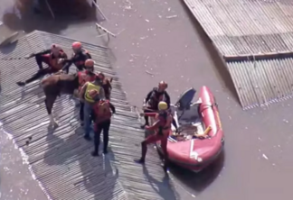 Cavalo sendo resgatado em Canoas (RS) (Foto: Reprodução/GloboNews)