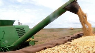Preço da soja sobe no Paraná e produto chega a ser comercializado a R$ 129,95 em algumas áreas do estado