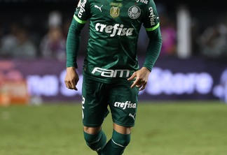 Mayke está há sete anos no Palmeiras e defendeu o Alviverde em 218 partidas Foto: Cesar Greco / Palmeiras