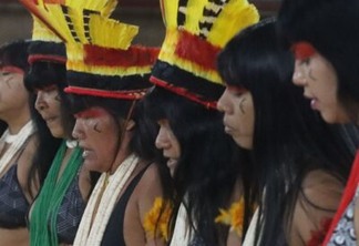 festival-em-brasilia-celebra-tradicoes-de-povos-originarios