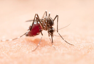 brasil-registra-1,5-milhao-de-casos-provaveis-de-dengue-em-2023