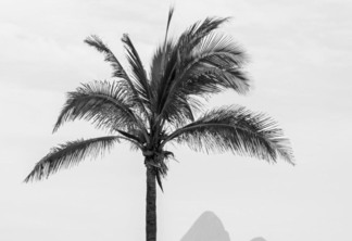 Rio de Janeiro - Foto: Reprodução COR