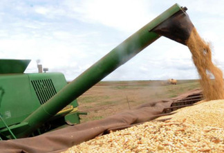 Preço da soja inicia a segunda-feira (11) em alta no Paraná