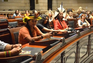 Câmara do Rio recebe representantes dos povos originários em debate público sobre educação indígena