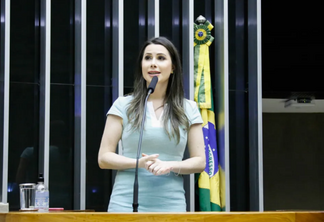 Carol de Toni (PL) no plenário da Câmara – Câmara dos Deputados/Divulgação