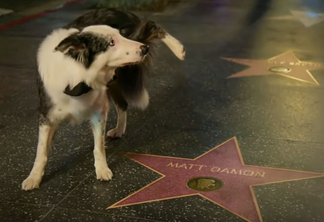 Messi,o cão ator, faz xixi na estrela de Matt Damon. Foto: reprodução