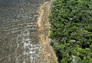 brasil-freno-la-deforestacion-de-la-amazonia,-pero-el-punto-de-no-retorno-aun-esta-cerca