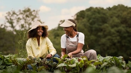 Conab, MDA e Incra debatem novos desafios para fortalecer agricultura familiar