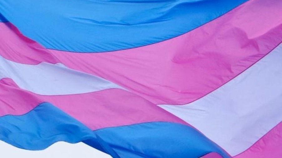 Lideranças Trans do Rio de Janeiro promovem atividades especiais pelo Dia Nacional da Visibilidade de Travestis e Transexuais  