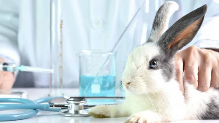 Testes cosméticos em animais ainda são uma realidade no Brasil (Foto: Freepik)