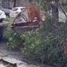 Uma idosa de 78 anos está desaparecida há quase 24 horas após ser arrastada pela correnteza do canal Caboclo, em Duque de Caxias, na Baixada Fluminense. A vítima foi levada pela água após o muro da sua casa desabar.