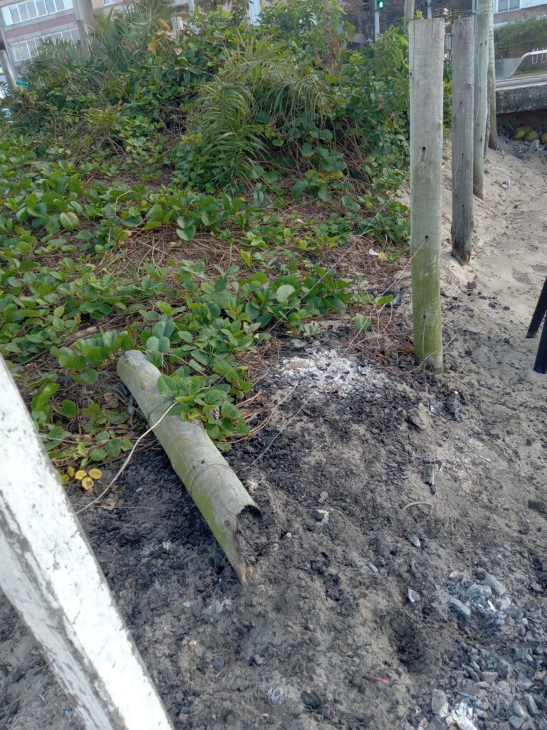Áreas de preservação de restinga das praias 

de Ipanema e Leblon sofrem com atos de vandalismo

