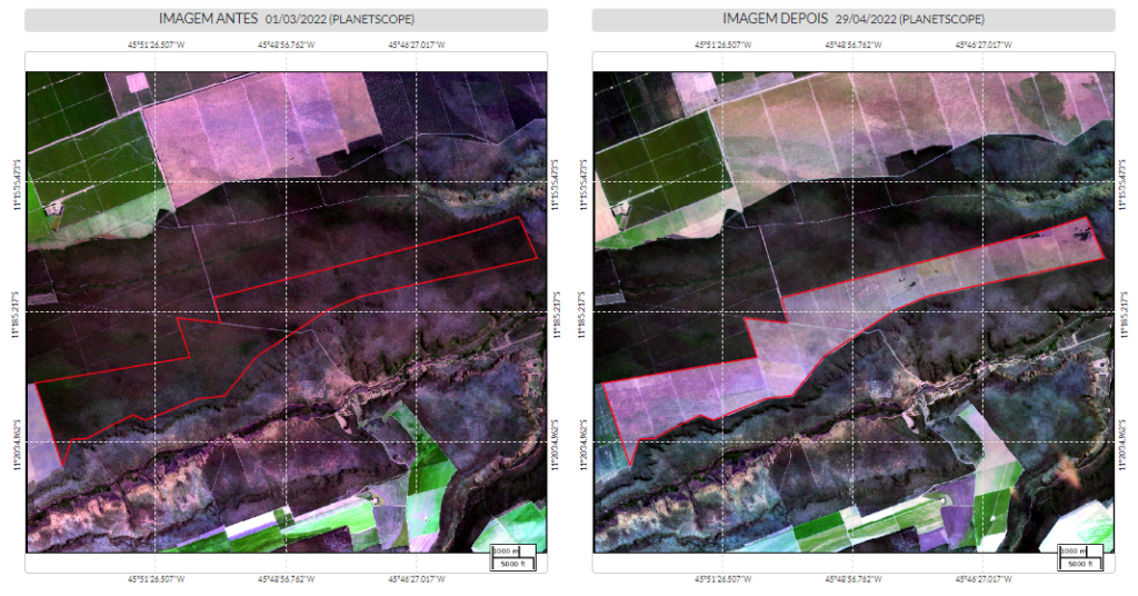 Os três polígonos de desmatamento detectados em Formosa do rio Preto, resultando numa área de 23.450 hectares (Fonte: MapBiomas Alerta)
