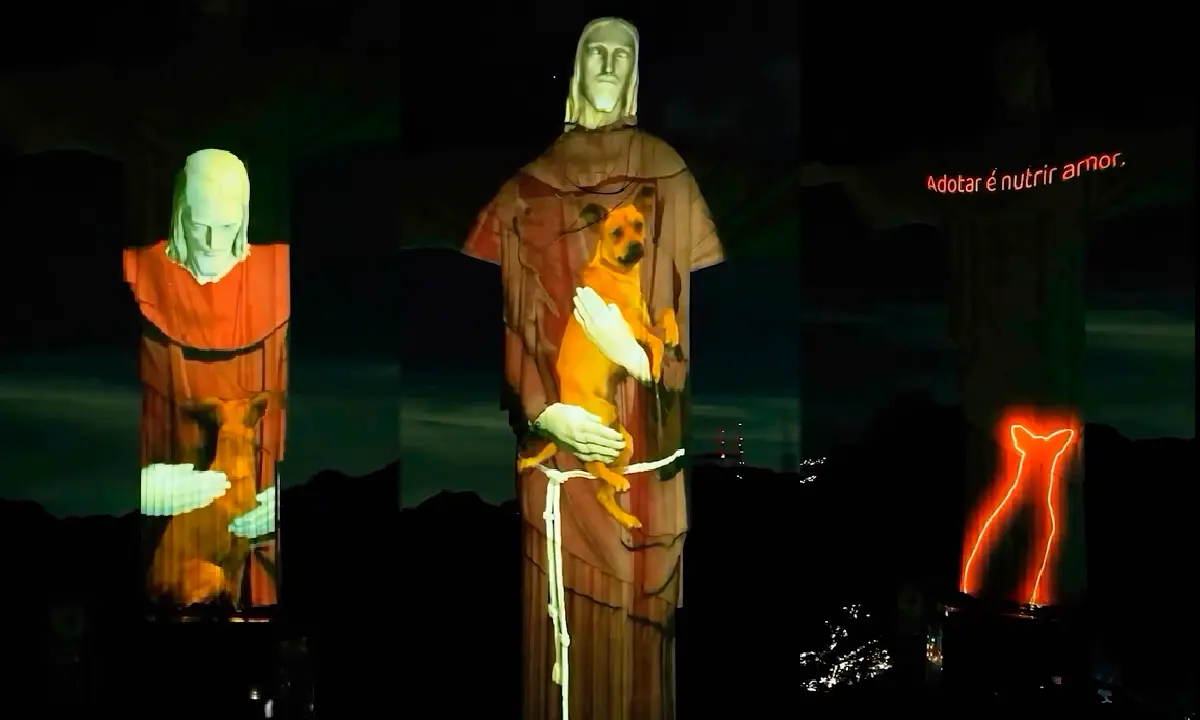 Cristo Redentor abraça vira-lata caramelo em ação inédita | Diário Carioca Cristo Redentor “adota” um vira-lata caramelo em projeção. Foto: reprodução