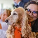 Tutores, ONGs e municípios podem cadastrar os animais sob sua responsabilidade no SinPatinhas e emitir a carteirinha de identificação - Foto: Ricardo Stuckert/PR