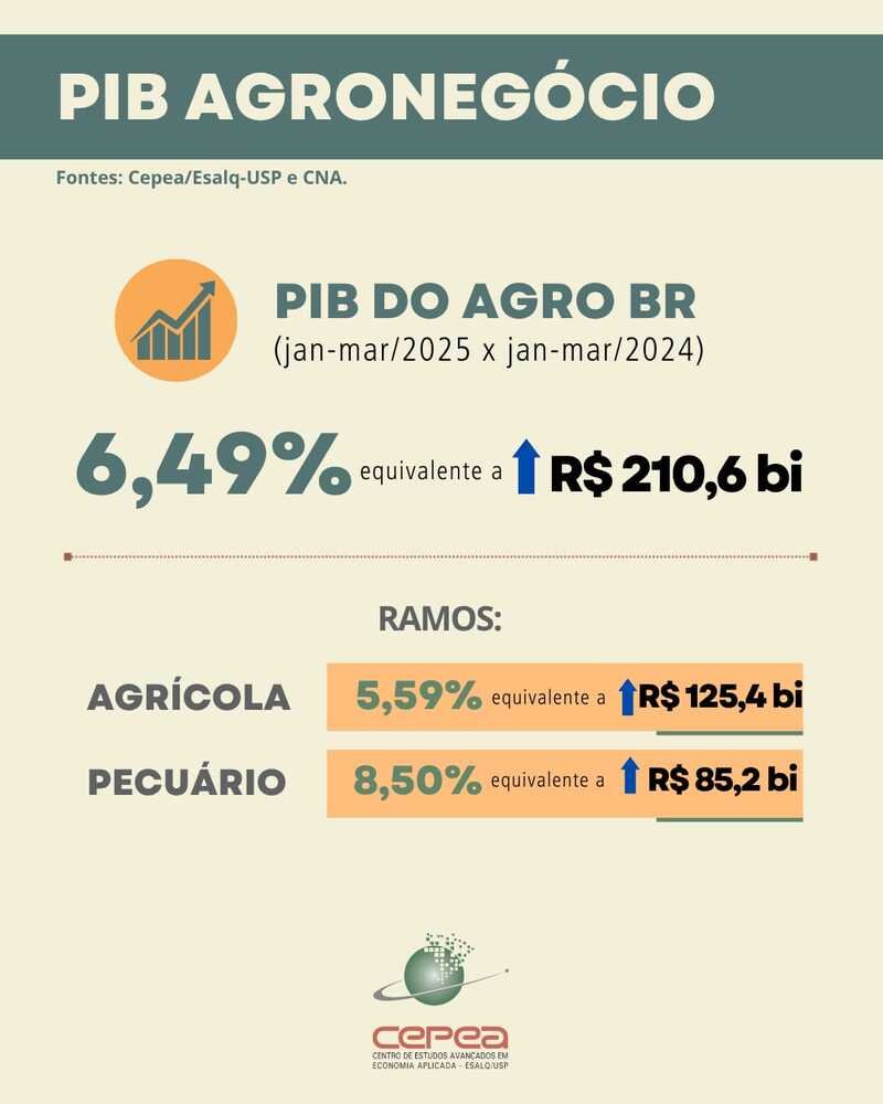 Agronegócio inicia 2025 com maior saldo de empregos formais desde 2022 | Diário Carioca
