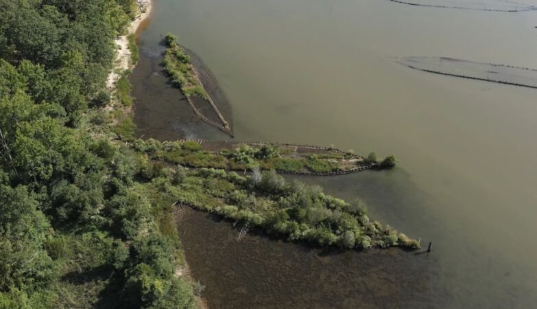 Ogivas e navios da 2ª Guerra viram refúgio da vida marinha | Diário Carioca Foto: Duke Marine Robotics e Remote Sensing Lab