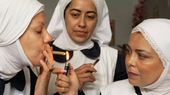 Conheça as Freiras Maconheiras: espiritualidade, cannabis e resistência | Diário Carioca As Sisters of the Valley, conhecidas como “freiras da cannabis”, misturam fé, ativismo e medicina natural na Califórnia, desafiando o mercado e os dogmas religiosos.