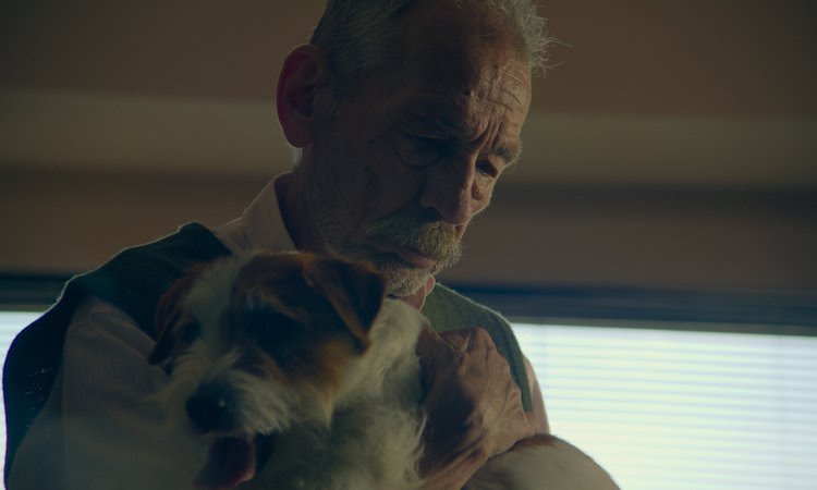 A Memória do Cheiro das Coisas: drama que une guerra, racismo e amizade estreia no Brasil | Diário Carioca A Memória do Cheiro das Coisas estreia no Brasil com coprodução brasileira